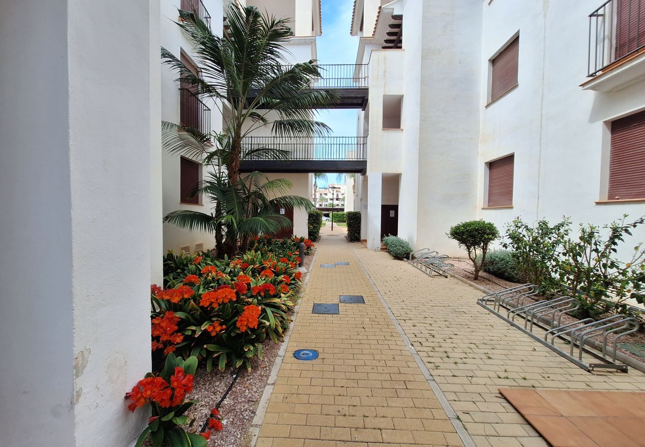 Apartamento en Vera playa - JNV Ático - Apartamento en la playa con terraza 